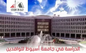 الدراسة في جامعة أسيوط للوافدين