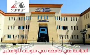 الدراسة في جامعة بني سويف للوافدين