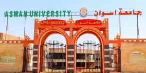 الدراسة في جامعة أسوان للوافدين