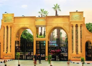 الدراسة في جامعة المنصورة للوافدين [current_year]