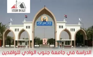 الدراسة في جامعة جنوب الوادي للوافدين