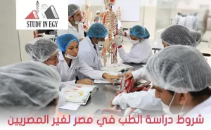 شروط دراسة الطب في مصر للوافدين [current_year]