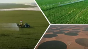 دراسة الزراعة في مصر للطلاب الوافدين
