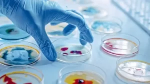 دراسة ماجستير الطفيليات الطبية في مصر للطلاب الوافدين