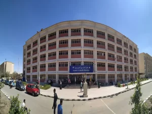 الدراسة بكلية التربية النوعية بمصر للوافدين