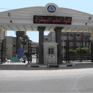 كم تكلفة دراسة الطب البيطري في مصر؟