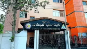 أفضل كليات الطب البيطري في مصر
