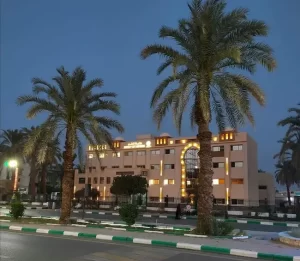 أفضل الدول لدراسة الطب [current_year]