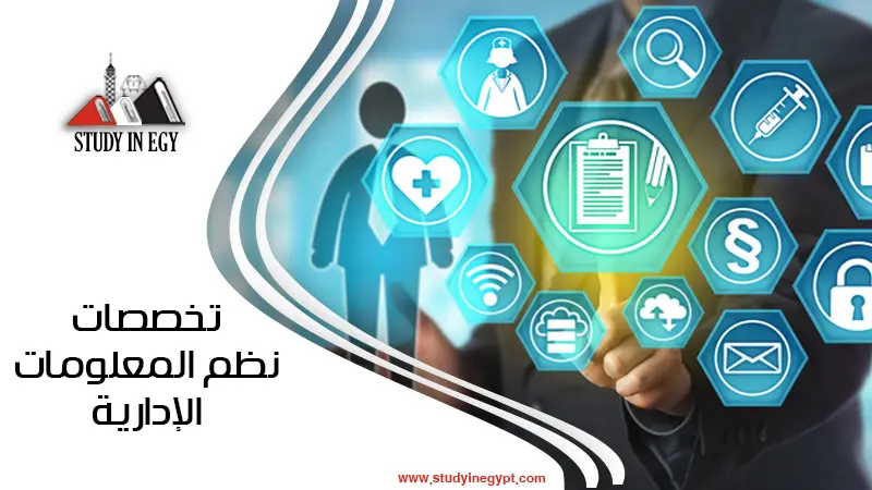 تخصصات نظم المعلومات الإدارية في مصر للوافدين 2026