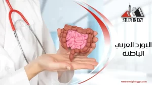 البورد العربي الباطنة