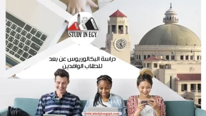 بكالوريوس عن بعد
