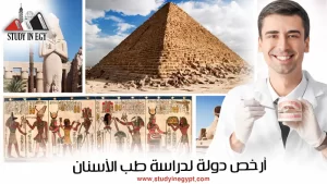 أرخص دولة لدراسة طب الأسنان