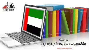 دراسة بكالوريوس عن بعد في الإمارات