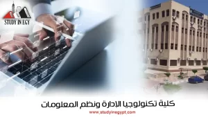 كلية تكنولوجيا الإدارة ونظم المعلومات