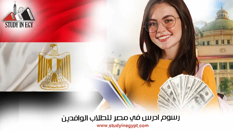 رسوم ادرس في مصر