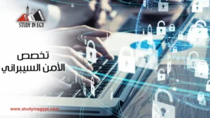 دراسة تخصص الأمن السيبراني في مصر [current_year]