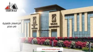 الجامعات الاهلية في مصر