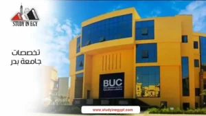 تخصصات جامعة بدر
