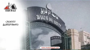 تخصصات جامعة الزقازيق