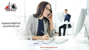 الدكتوراة المهنية في إدارة الأعمال