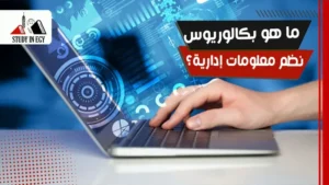 ما هو بكالوريوس نظم معلومات إدارية؟! 