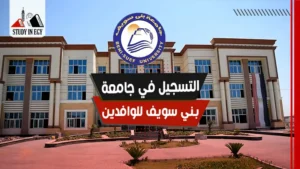 التسجيل في جامعة بني سويف للوافدين
