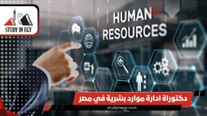 دكتوراة ادارة موارد بشرية في مصر للوافدين [current_year]