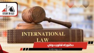 دراسة دكتوراه القانون الدولي في مصر [current_year]