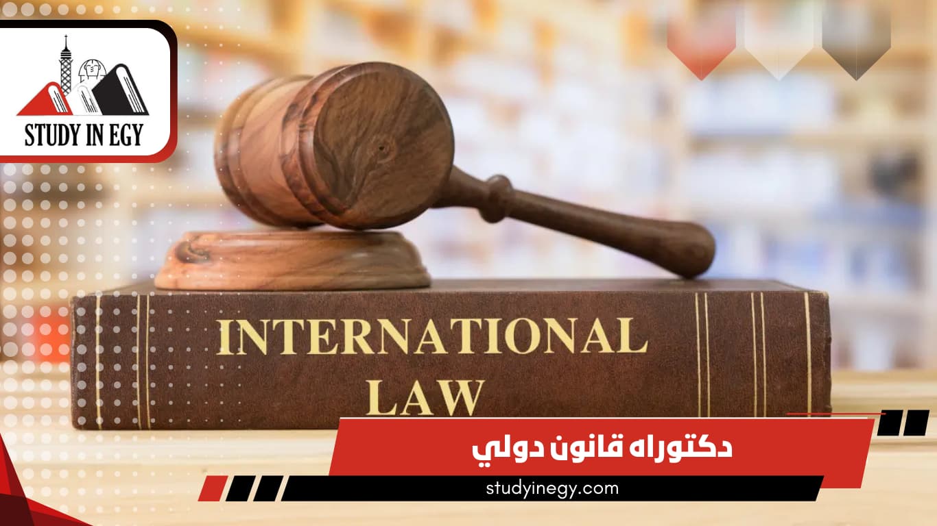 دراسة دكتوراه القانون الدولي في مصر 2026