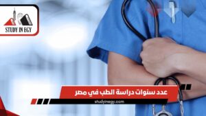 عدد سنوات دراسة الطب في مصر [current_year]