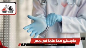 ماجستير الصحة العامة في مصر [current_year]