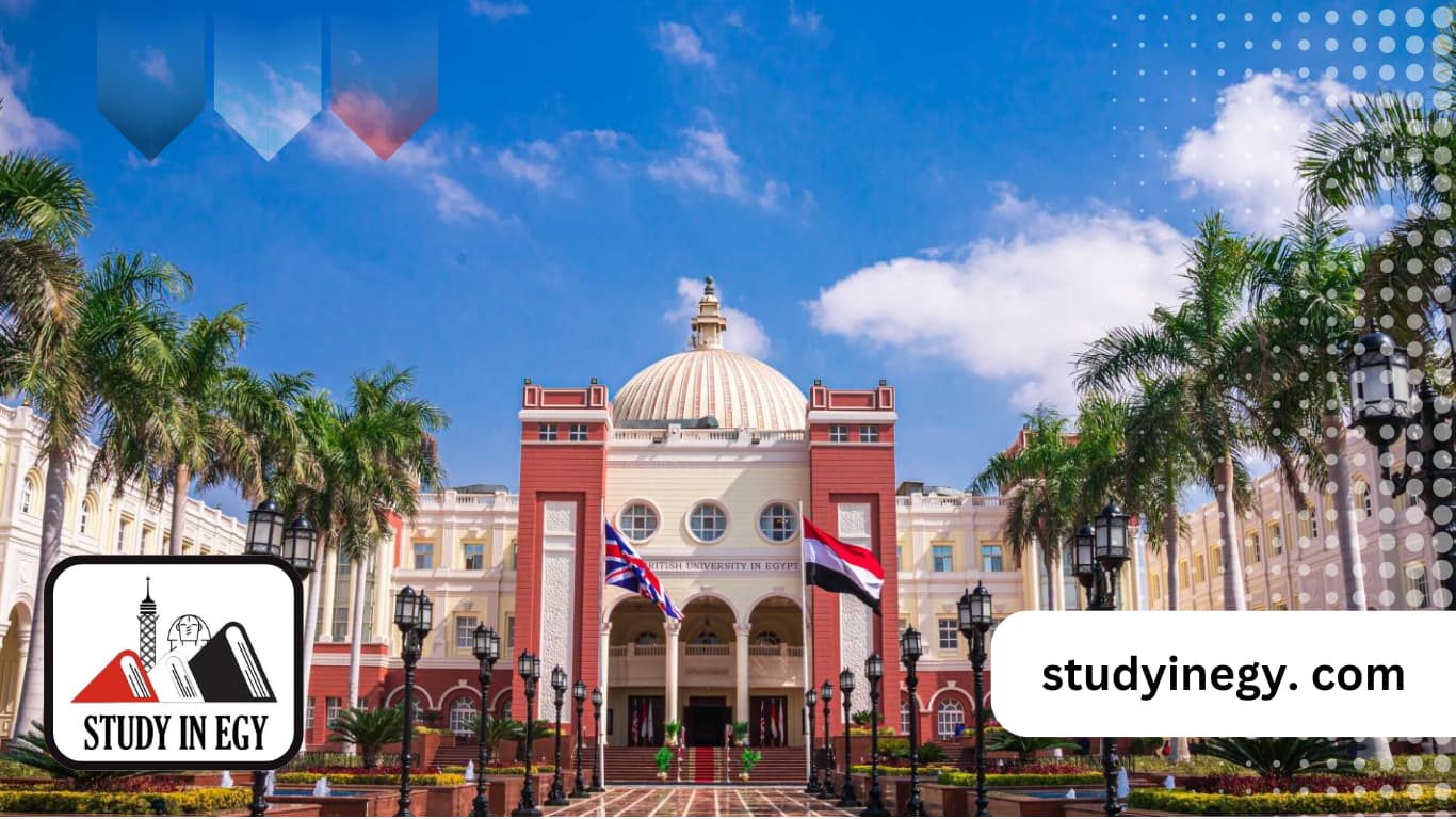 الجامعة البريطانية في مصر