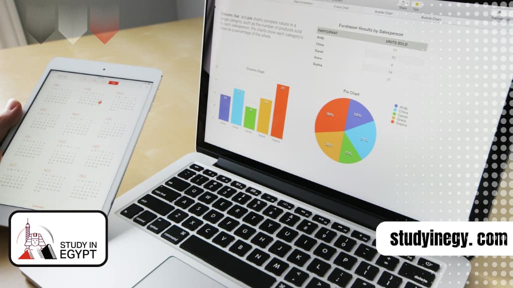 دراسة ماجستير نظم المعلومات في مصر للوافدين