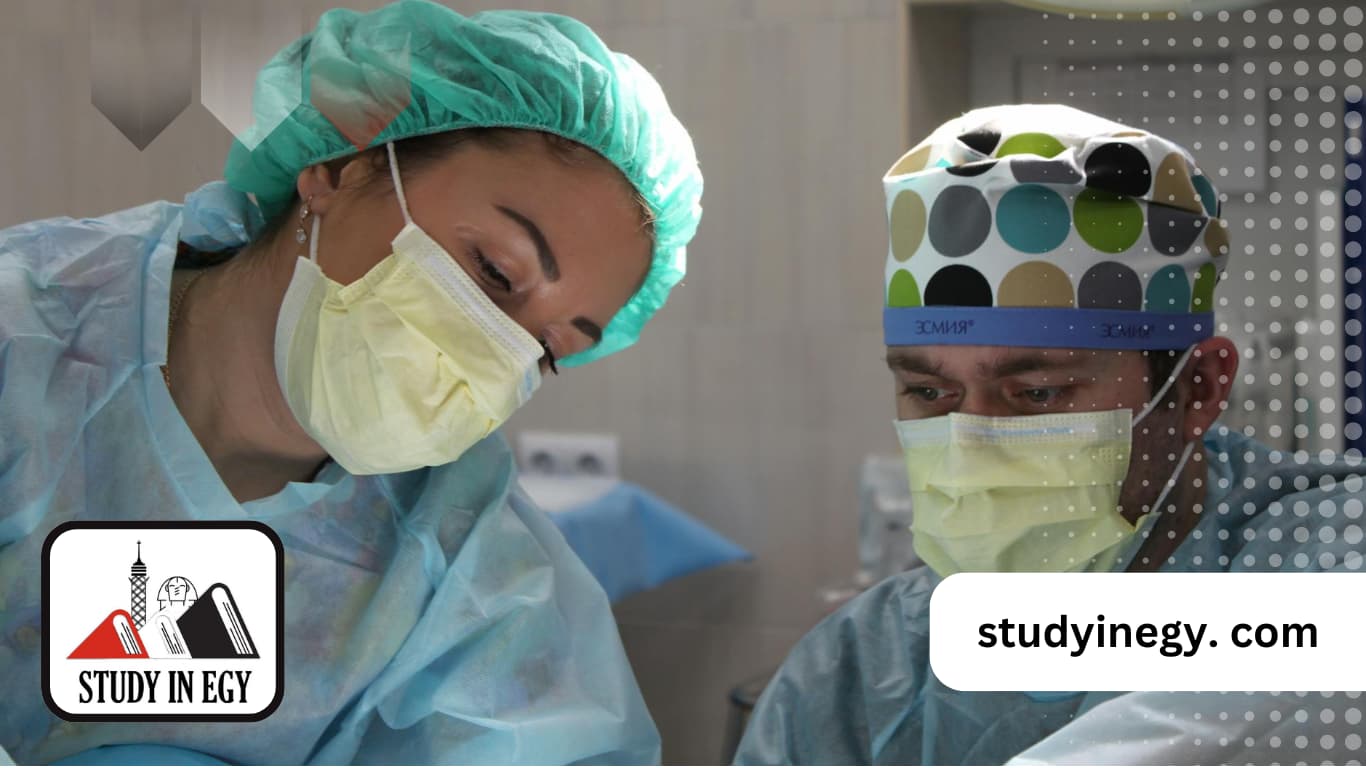 دراسة دكتوراه التمريض في مصر