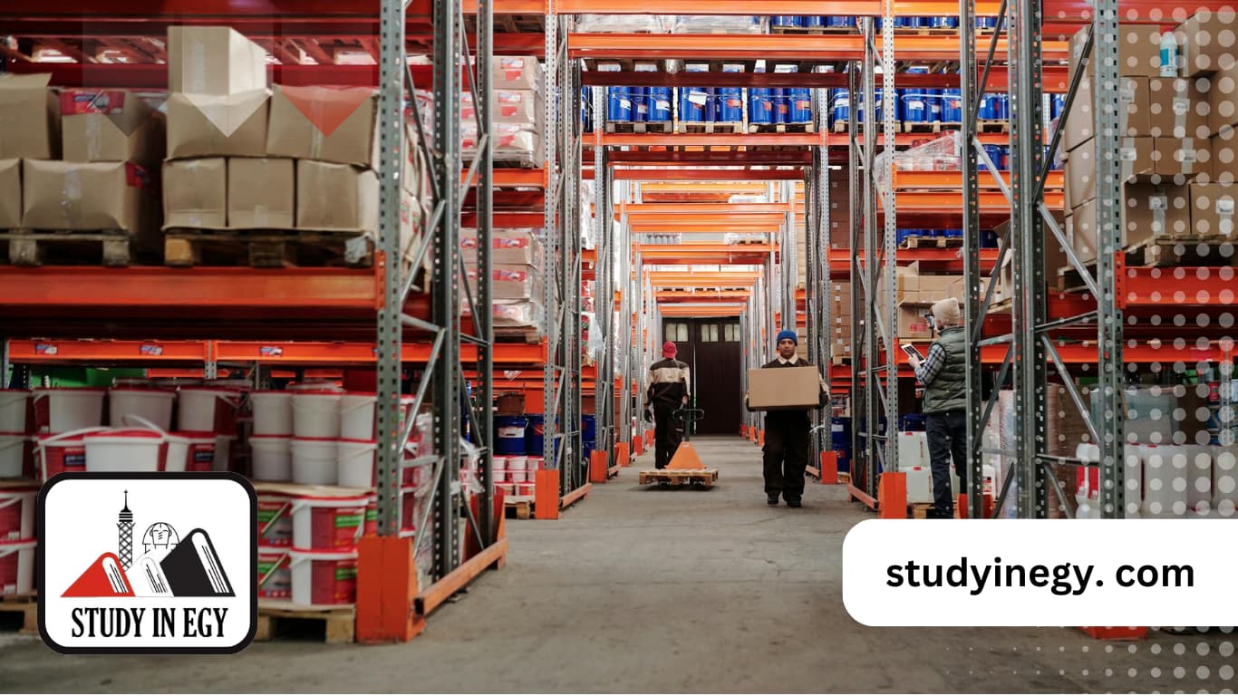 ماجستير سلاسل الإمداد في مصر