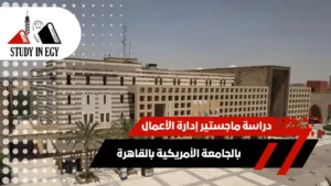 دراسة ماجستير إدارة الأعمال بالجامعة الأمريكية بالقاهرة