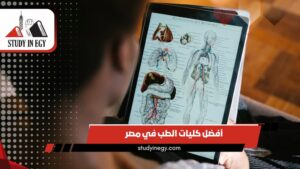 أفضل كليات الطب في مصر [current_year]