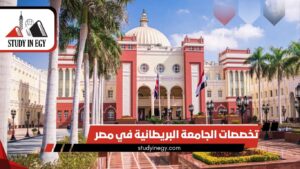 تخصصات الجامعة البريطانية في مصر