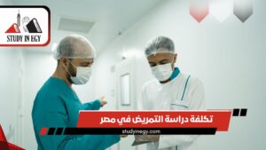 تكلفة دراسة التمريض في مصر للوافدين [current_year]