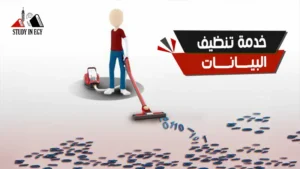 خدمة تنظيف البيانات