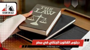 دراسة دبلوم القانون الجنائي في مصر [current_year]