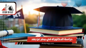 دراسة الدكتوراه في مصر عن بعد