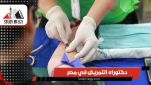 دراسة دكتوراه التمريض في مصر للوافدين [current_year]