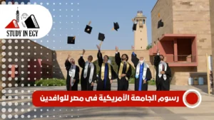 رسوم الجامعة الأمريكية فى مصر للوافدين