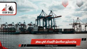 ماجستير سلاسل الإمداد في مصر [current_year]