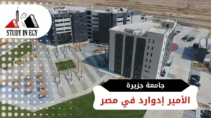جامعة جزيرة الأمير إدوارد في مصر