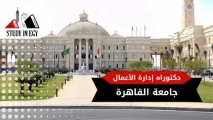 دكتوراه إدارة الأعمال جامعة القاهرة