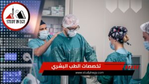 تخصصات الطب البشري