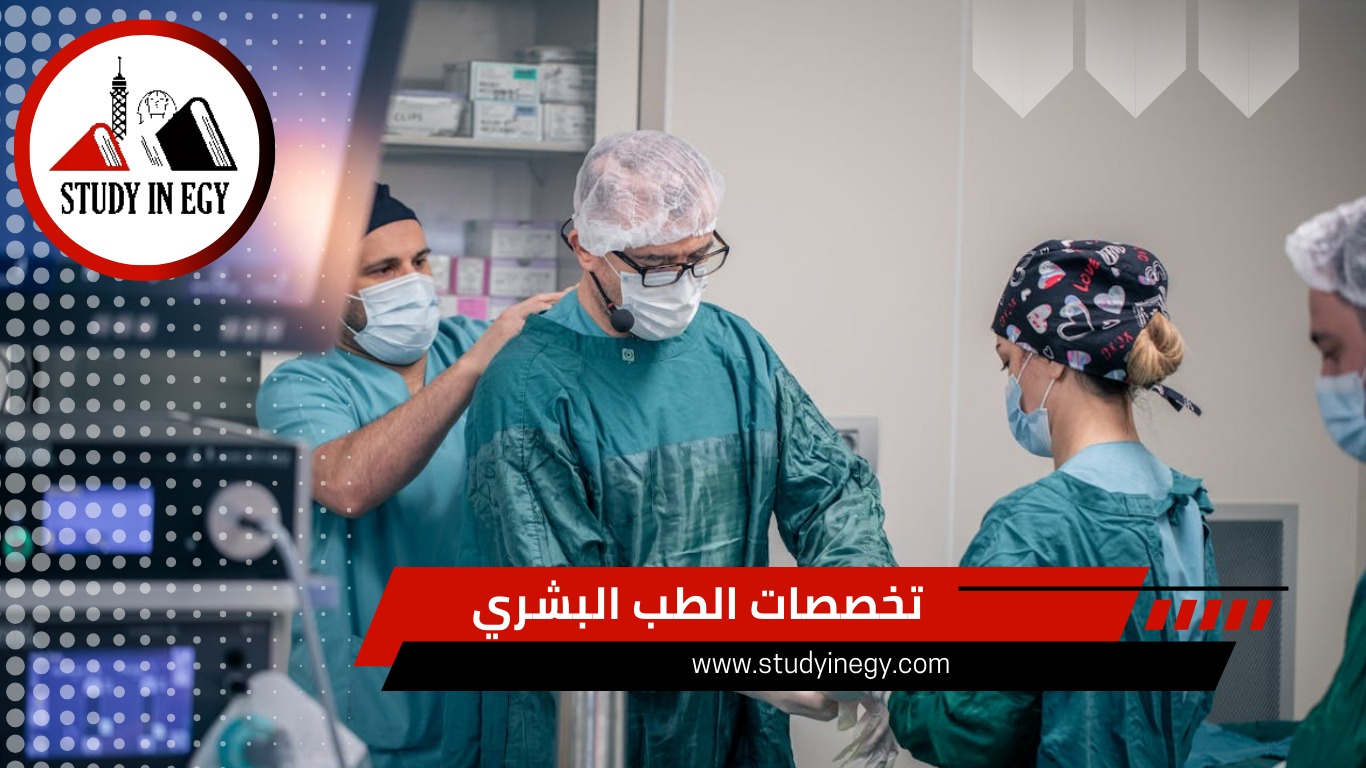 تخصصات الطب البشري