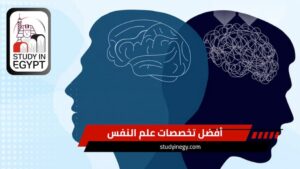 تخصصات علم النفس